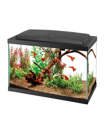 Aqueon Aquarium Starter Kit with LED - 5.5 Gal