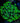 Green Goniopora Colony
