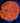 Orange Blastomussa WYSIWYG