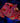 Red Blastomussa WYSIWYG