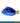 Blue Tang (Paracanthurus hepatus)