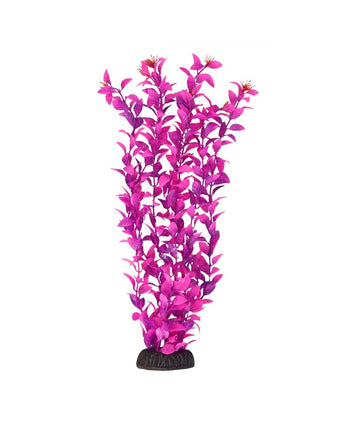 Underwater Treasures Ludwigia - Pink - 16