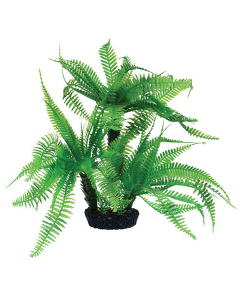 Underwater Treasures Jurassic Fern - 10"