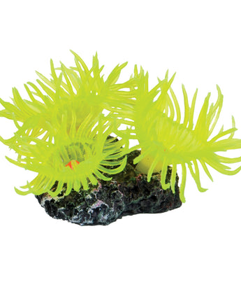 Underwater Treasures Mini Sun Polyp