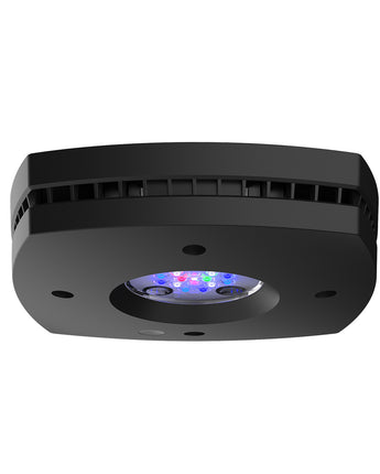 AquaIllumination Prime 16HD Reef Lighting System - Black