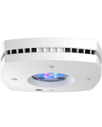 AquaIllumination Prime 16HD Reef Lighting System - White