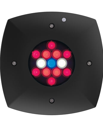 AquaIllumination Prime Fuge