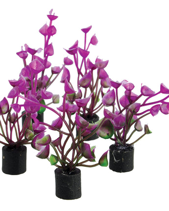 Underwater Treasures Mini Plant Purple Ear - 2.25" - 5 pk