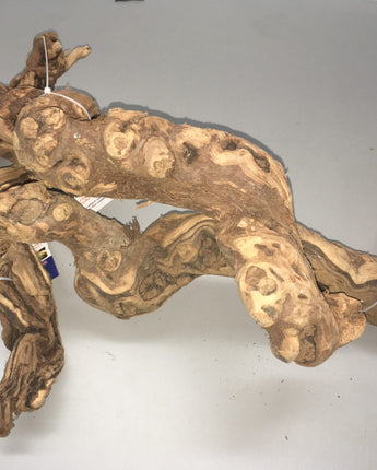 Grapevine Wood, XL 14-16?