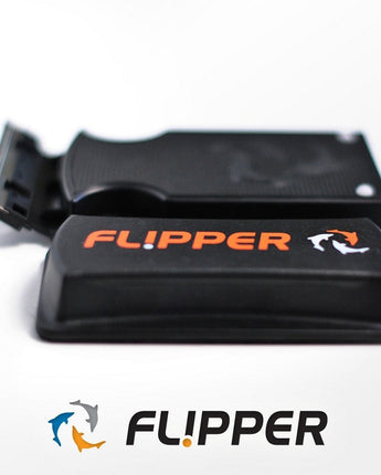 Flipper Flipper Magnet Maxx
