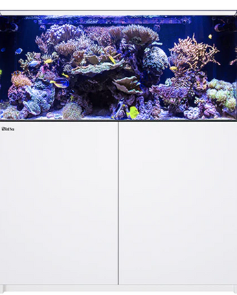 Red Sea REEFER 425 G2 Aquarium - White