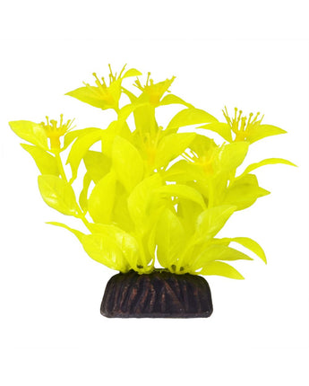 Underwater Treasures Ludwigia - Yellow - 3